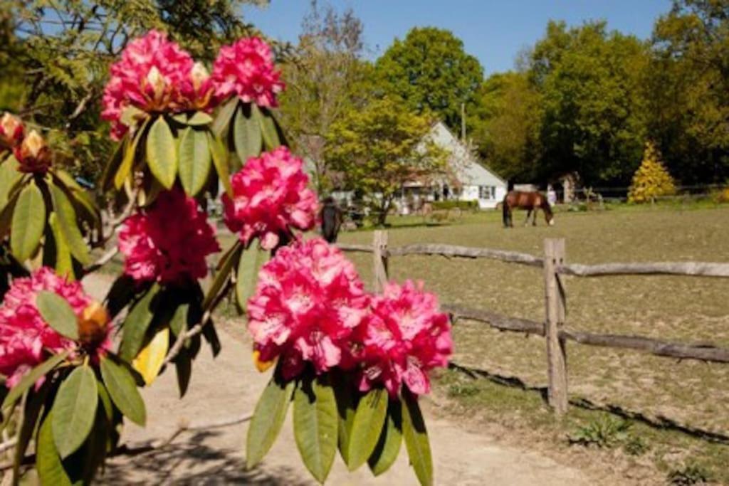 The Cottage Cross in Hand 외부 사진